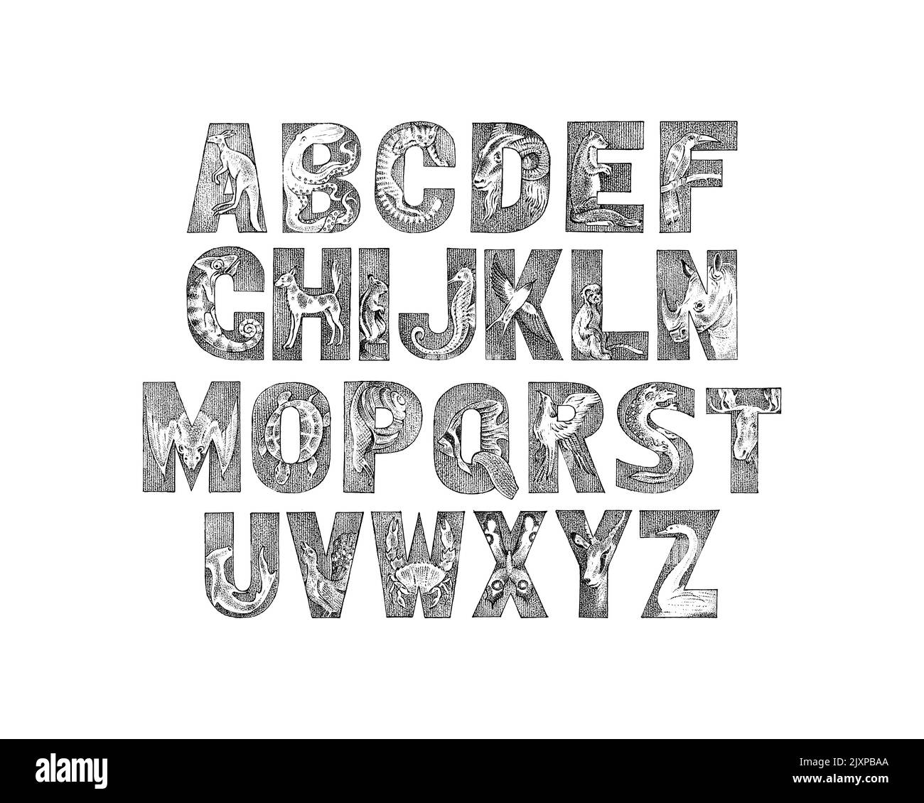 Carino animali Font per i bambini. Antico alfabeto decorativo. Caratteri vintage. Doppia esposizione modificabile e stratificata. Canguro, polpo. Mano Illustrazione Vettoriale
