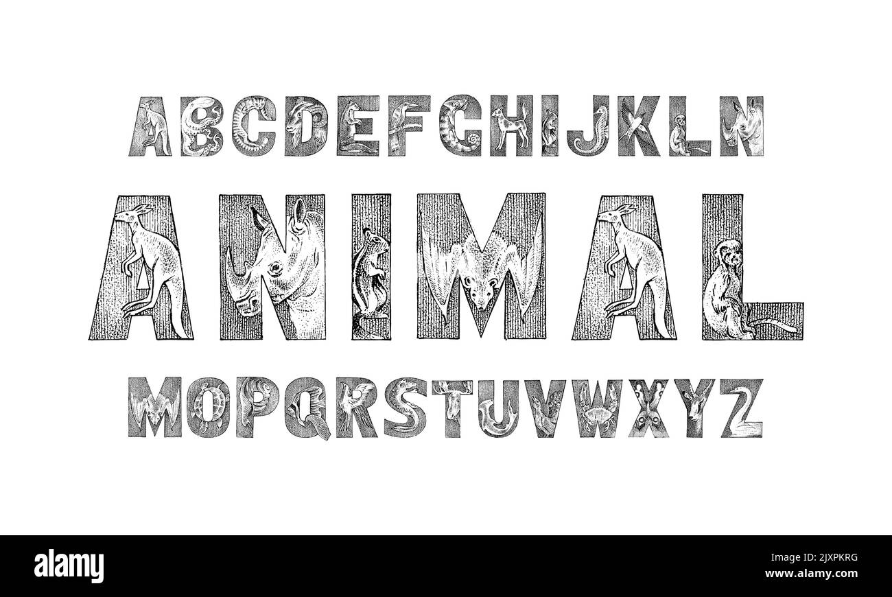 Carino animali Font per i bambini. Antico alfabeto decorativo. Caratteri vintage. Doppia esposizione modificabile e stratificata. Canguro, polpo. Mano Illustrazione Vettoriale