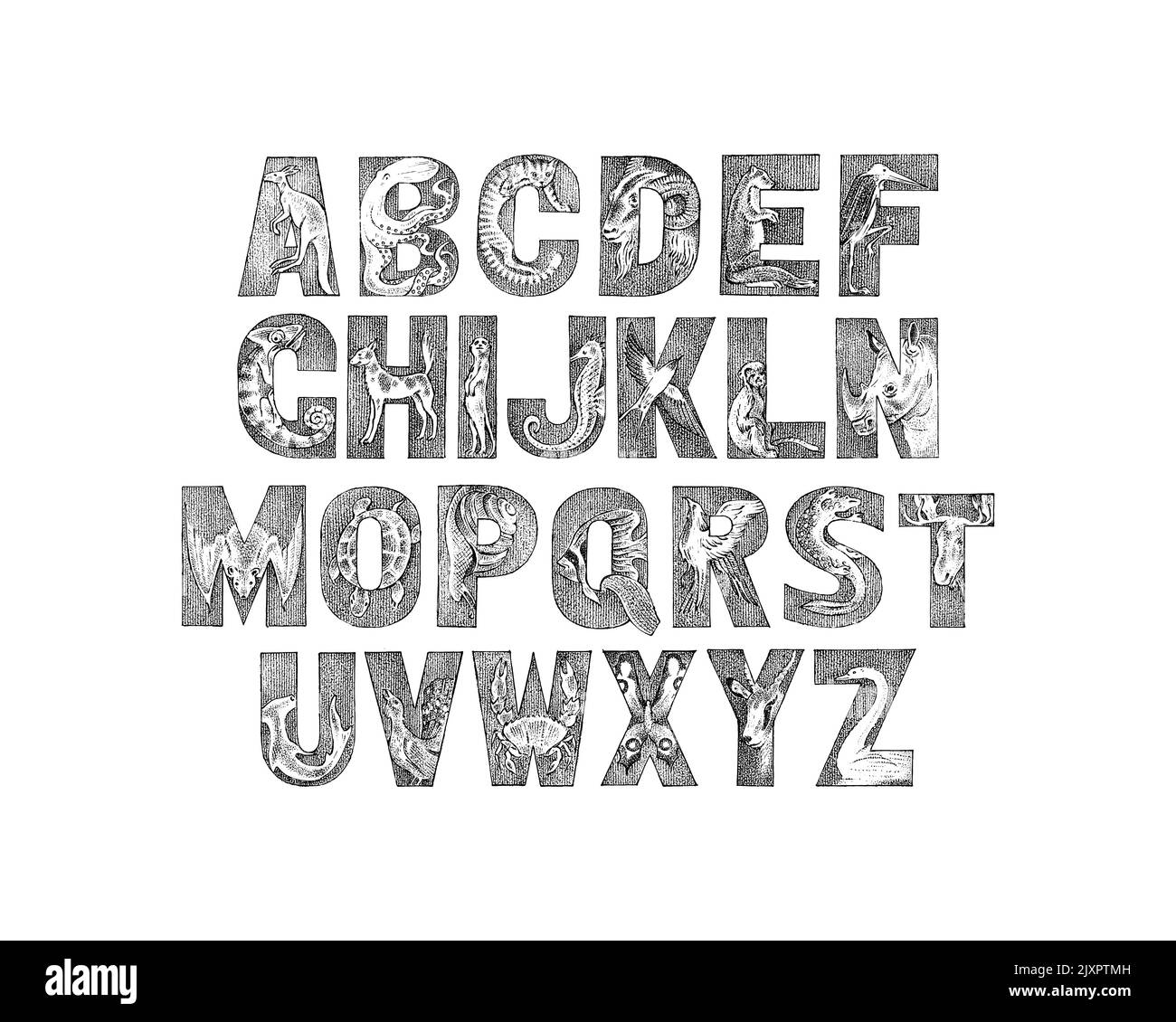 Carino animali Font per i bambini. Antico alfabeto decorativo. Caratteri vintage. Doppia esposizione modificabile e stratificata. Canguro, polpo. Mano Illustrazione Vettoriale