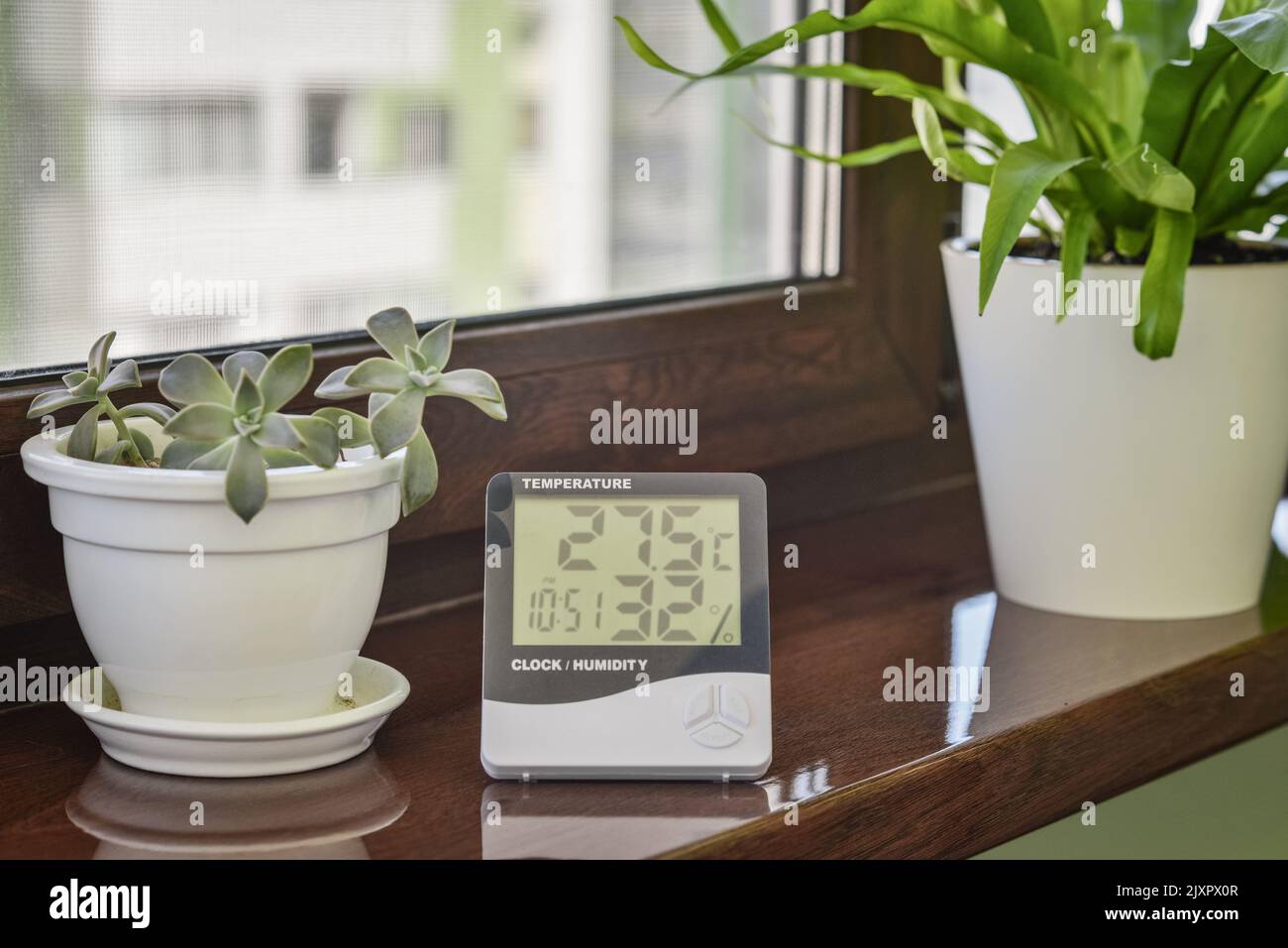 Igrometro a termometro che misura la temperatura e l'umidità ottimali in una casa sul davanzale con la closeup delle piante della casa Foto Stock