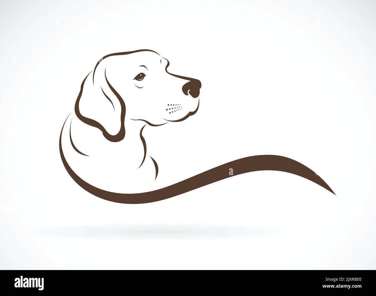 Vettore di testa di cane (labrador) su sfondo bianco., animale domestico. Animali. Illustrazione vettoriale a strati facilmente modificabile. Illustrazione Vettoriale