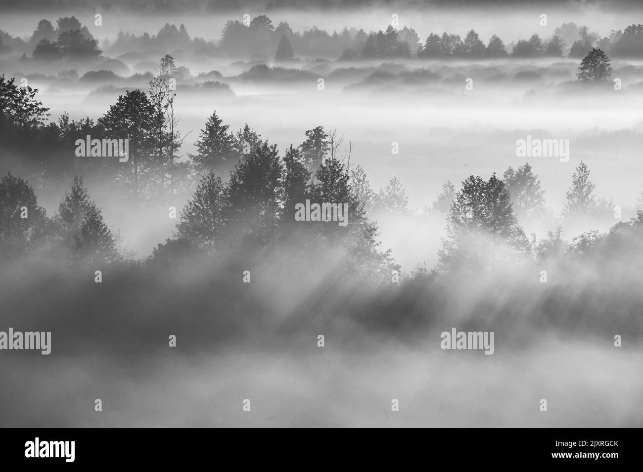 Misteriosa ora del mattino. Vista aerea incredibile paesaggio Misty Plain. Mattina nebbia illuminata da sole copre paesaggio piano. Bianco e nero retro BW Foto Stock