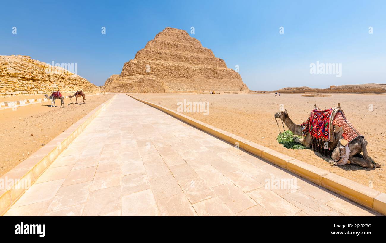 La piramide a gradini di Djoser, Saqqara, Egitto Foto Stock