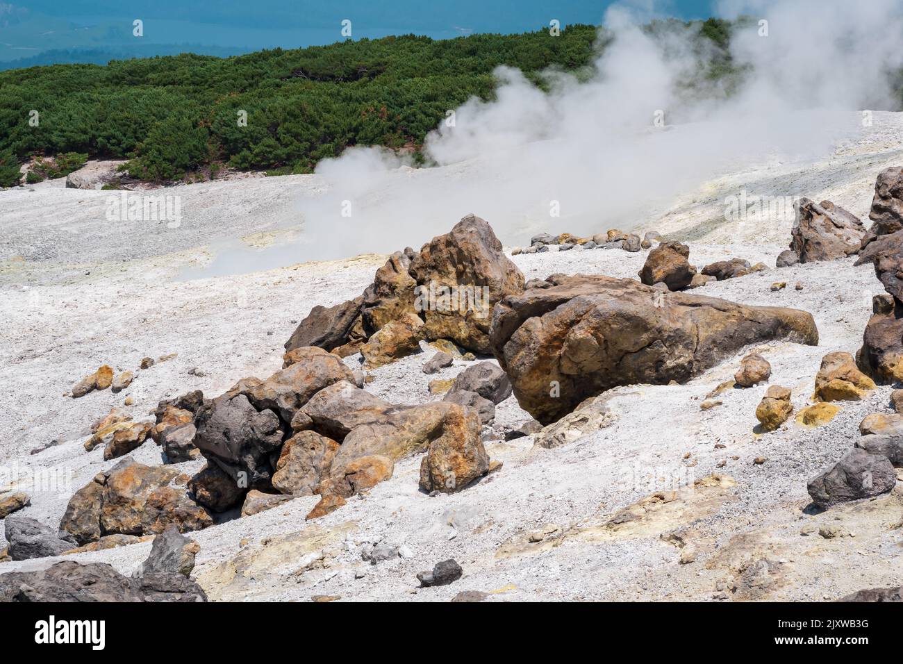 piante tra blocchi di lava solidificata in un campo di fumarole sul pendio di un vulcano Foto Stock