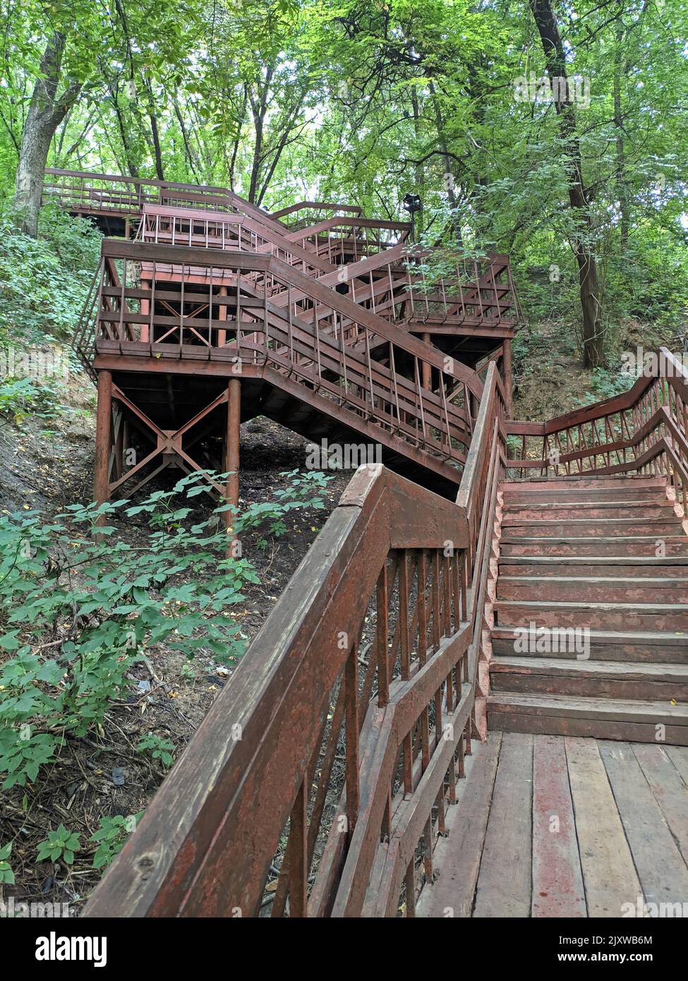 Antica scalinata in legno nella foresta, sentiero natura in riserva. Foto Stock