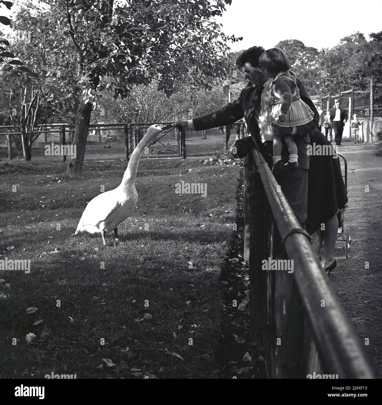 1965, storico, all'esterno di un recinto per uccelli, un padre che sorregge la sua piccola figlia in modo che possa guardarlo mentre si nutra un uccello guado, forse una grande egretta, lo zoo di Edimburgo, Scozia, Regno Unito. Foto Stock