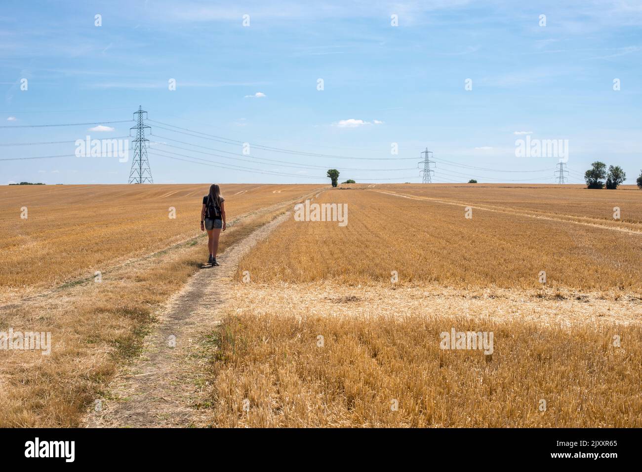 Una donna in pantaloncini corti e zaino cammina attraverso un campo molto secco recentemente raccolto con piloni sullo sfondo in Hertfordshire in Inghilterra Foto Stock