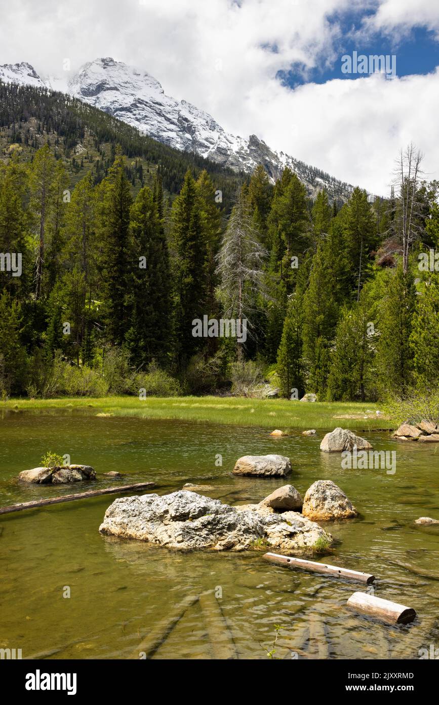 Monte Moran che sorge sopra il lago Bearpaw. Grand Teton National Park, Wyoming Foto Stock