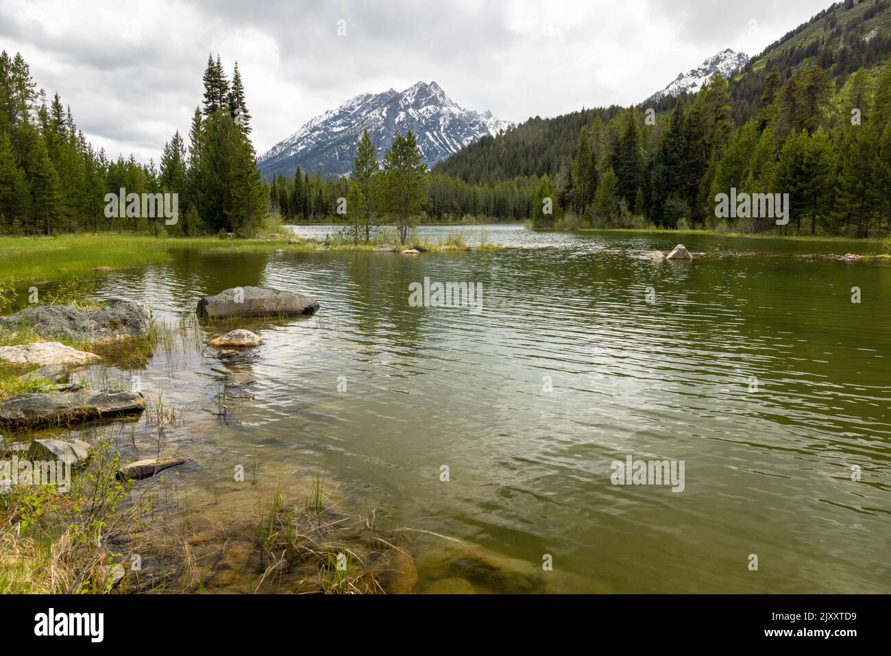 Il lago Bearpaw si estende sotto le foreste circostanti e le cime del Teton. Grand Teton National Park, Wyoming Foto Stock