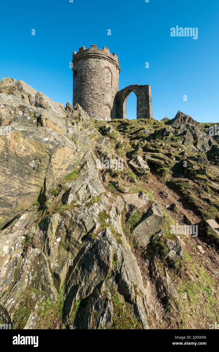 Il vecchio Giovanni follia contro il cielo blu, Glenfield Lodge Park, Newtown Linford, Leicestershire, England, Regno Unito Foto Stock