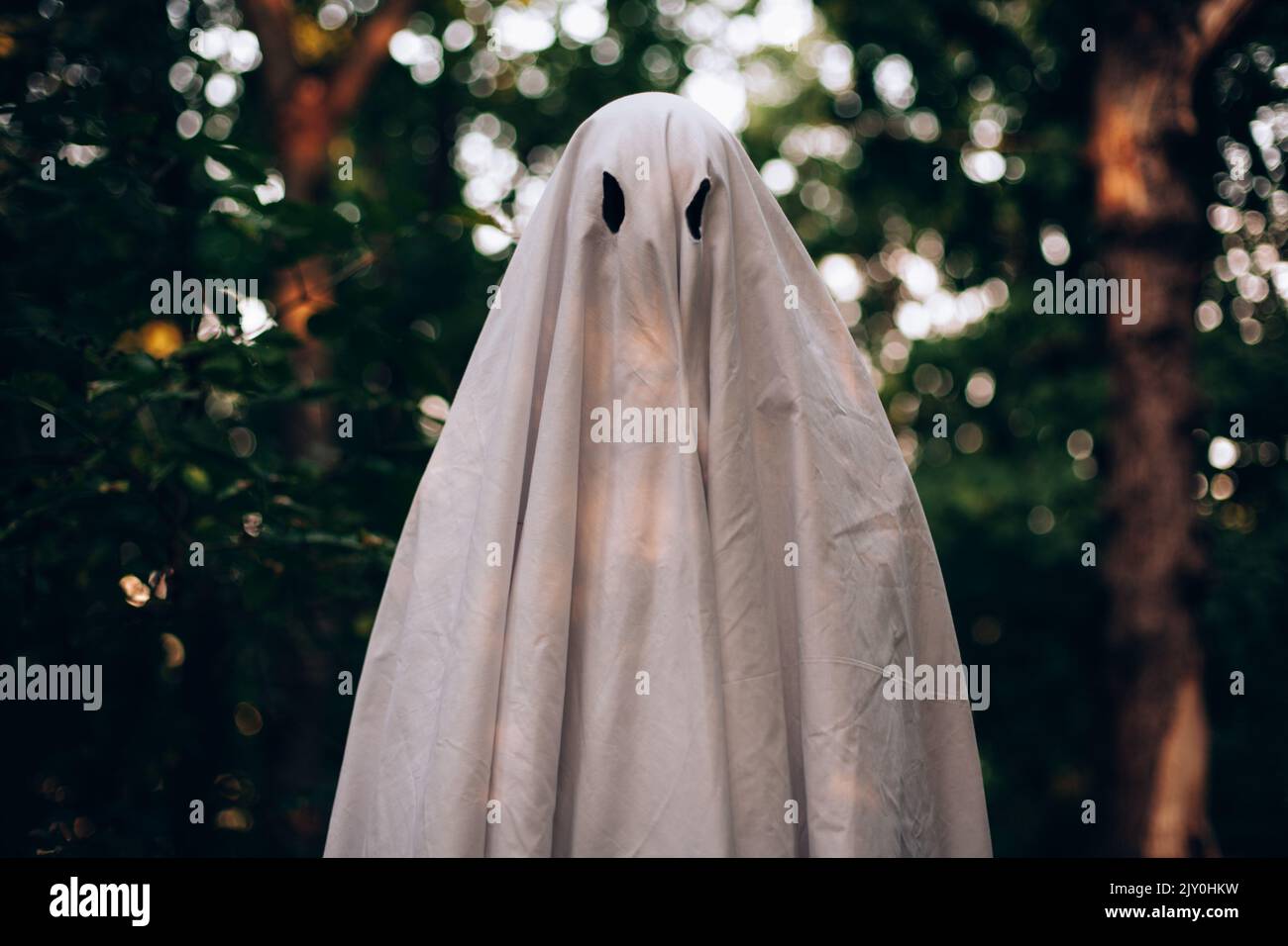 Ritratto dell'uomo che indossa costume fantasma nella foresta durante Halloween Foto Stock