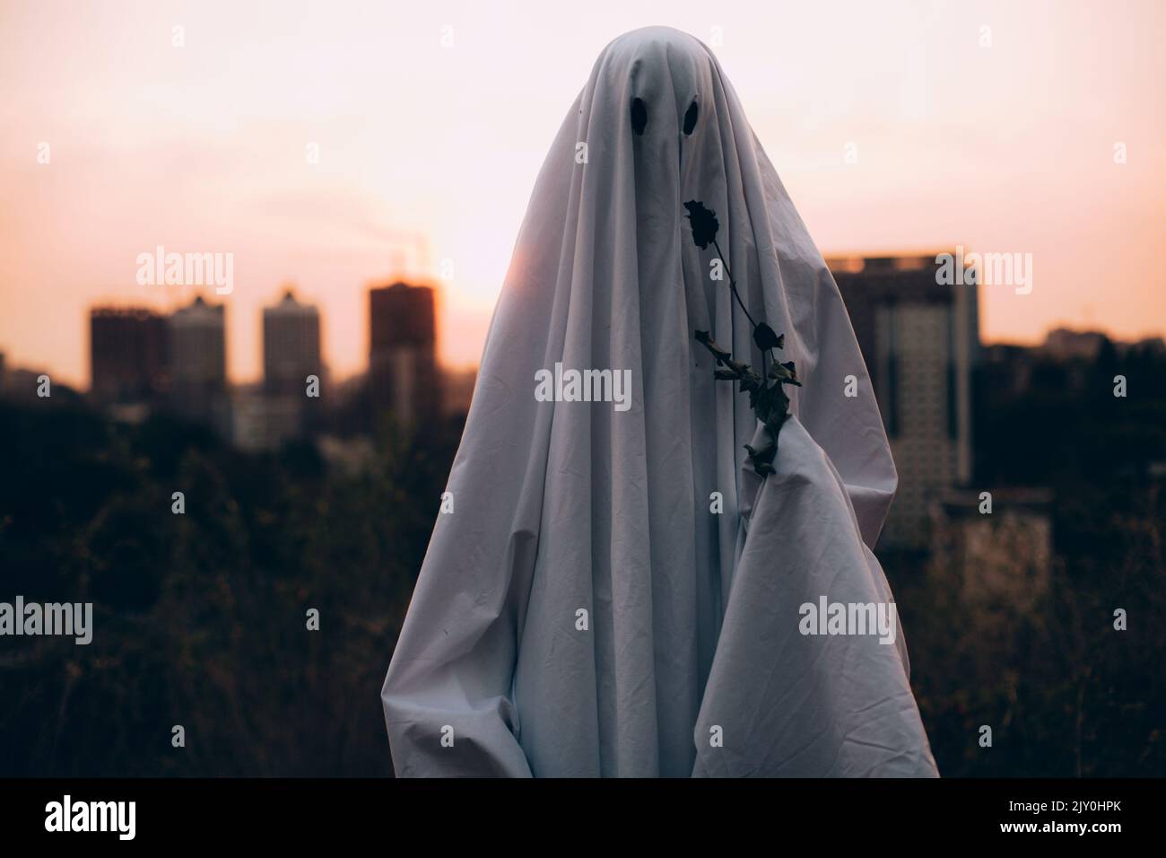 Fantasma che tiene il fiore selvaggio in piedi contro la città di sera durante Halloween Foto Stock