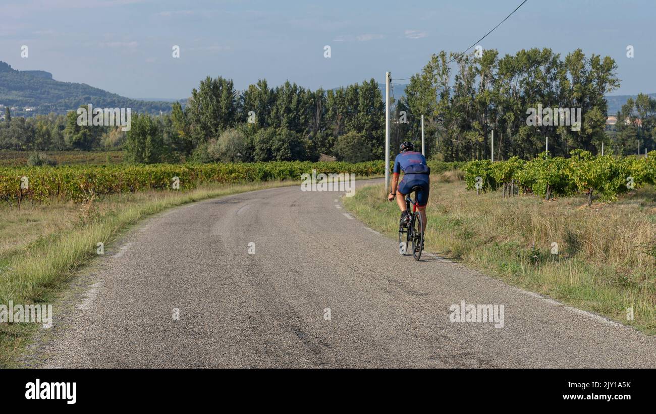 Ciclista cavalcando le viti nel Rodano meridionale indossando un vestito di lycra blu Foto Stock