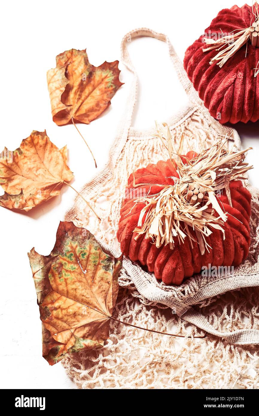 Composizione autunnale . Zucche cucite a mano e foglie autunnali. Posiziona per testo. Foto Stock