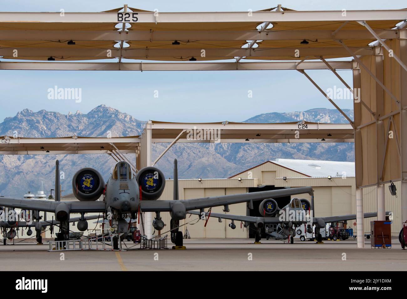 A-10C Thunderbolt IIS assegnato al 354th Fighter Squadron sono pronti per la missione alla base dell'aeronautica militare Davis-Monthan, Arizona. La base dell'aeronautica di Davis-Monthan si muove verso una maggiore preparazione a dispiegare i membri del servizio come diretto dal Dipartimento della Difesa a sostegno della NATO e dei partner europei e a dissuadere l'aggressione. (STATI UNITI Air Force foto di staff Sgt. Kristine legato) Foto Stock A-10C Thunderbolt IIS assegnato al 354th Fighter Squadron sono pronti per la missione alla base dell'aeronautica militare Davis-Monthan, Arizona. La base dell'aeronautica di Davis-Monthan si muove verso una maggiore preparazione a dispiegare i membri del servizio come diretto dal Dipartimento della Difesa a sostegno della NATO e dei partner europei e a dissuadere l'aggressione. (STATI UNITI Air Force foto di staff Sgt. Kristine legato) Foto Stock