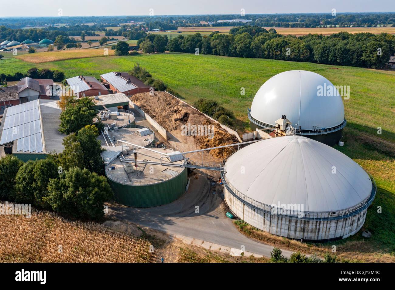 Impianto di biogas, stoccaggio di gas, con cupola, serbatoi di fermentatore per il processo di fermentazione, uso di concime solido come fonte di energia, in una fattoria vicino Lippling, clo Foto Stock