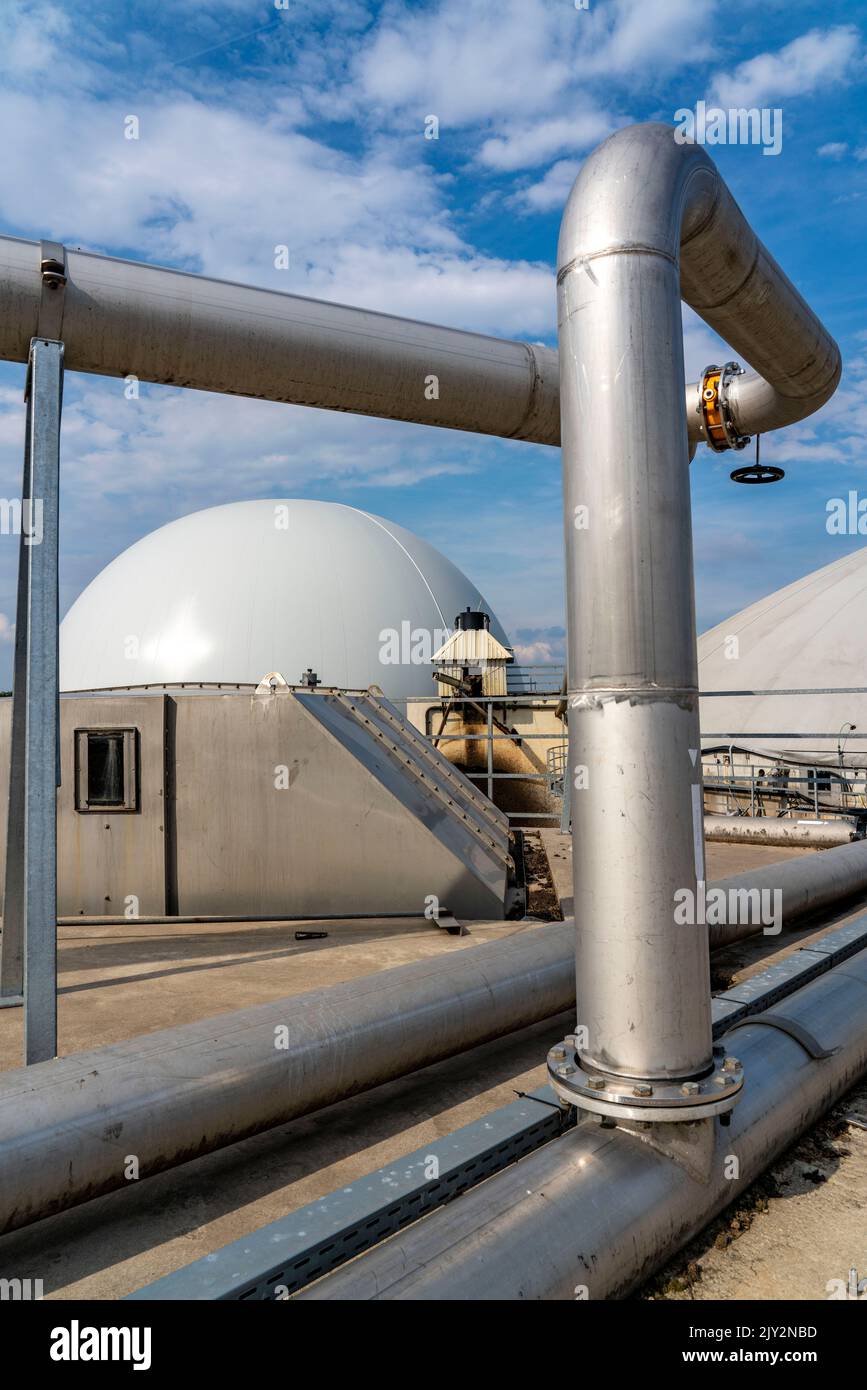 Impianto di biogas, stoccaggio di gas, con cupola, serbatoi di fermentatore per il processo di fermentazione, uso di concime solido come fonte di energia, in una fattoria vicino Lippling, clo Foto Stock