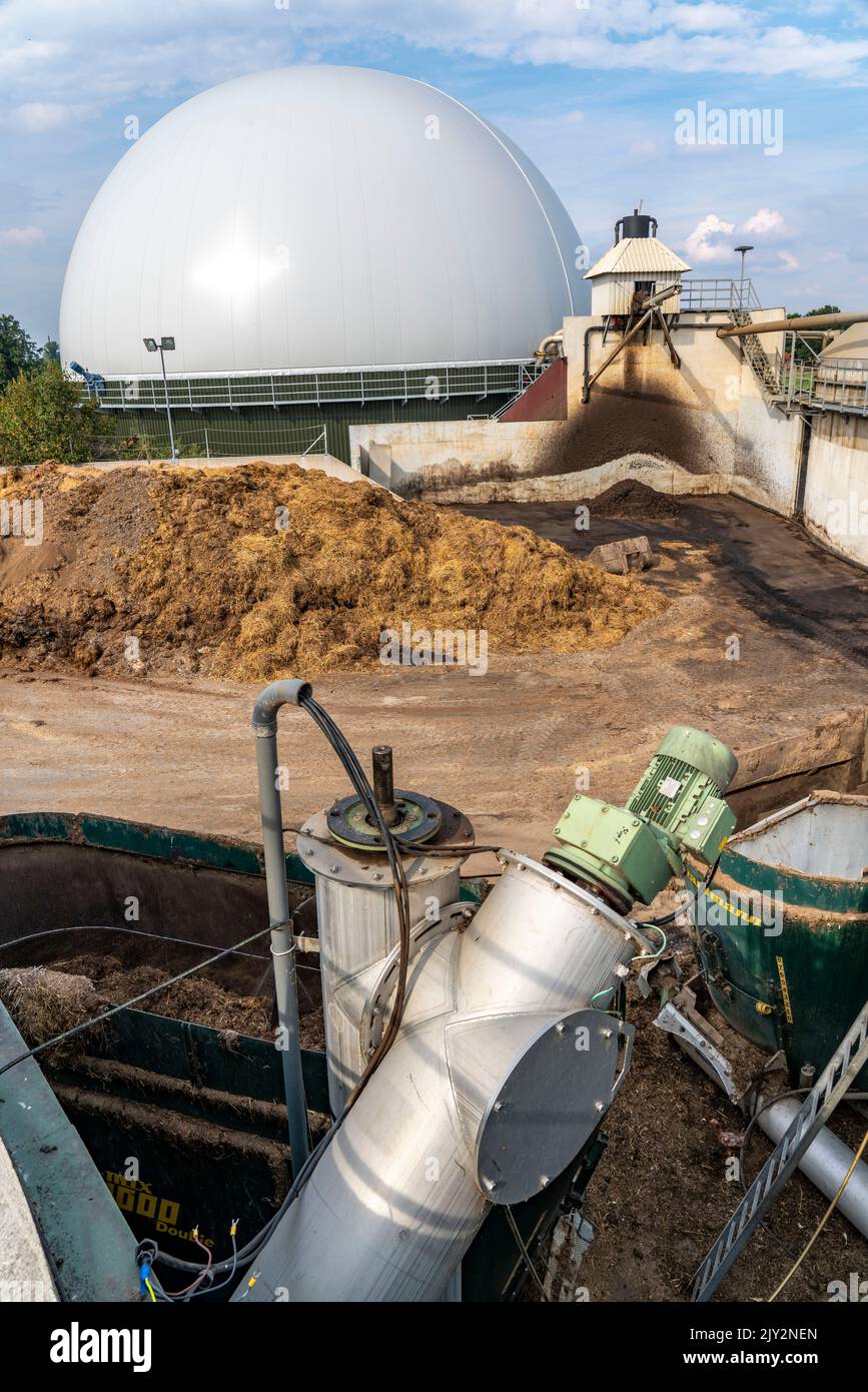 Impianto di biogas, stoccaggio di gas, con cupola, serbatoi di fermentatore per il processo di fermentazione, uso di concime solido come fonte di energia, in una fattoria vicino Lippling, clo Foto Stock