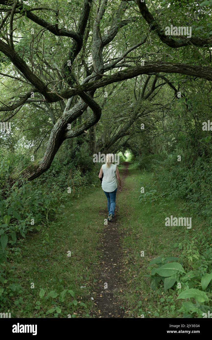 Donna che cammina solo attraverso alberi spoky, rami ritorti, fresco, verde, luce alla fine del tunnel Foto Stock