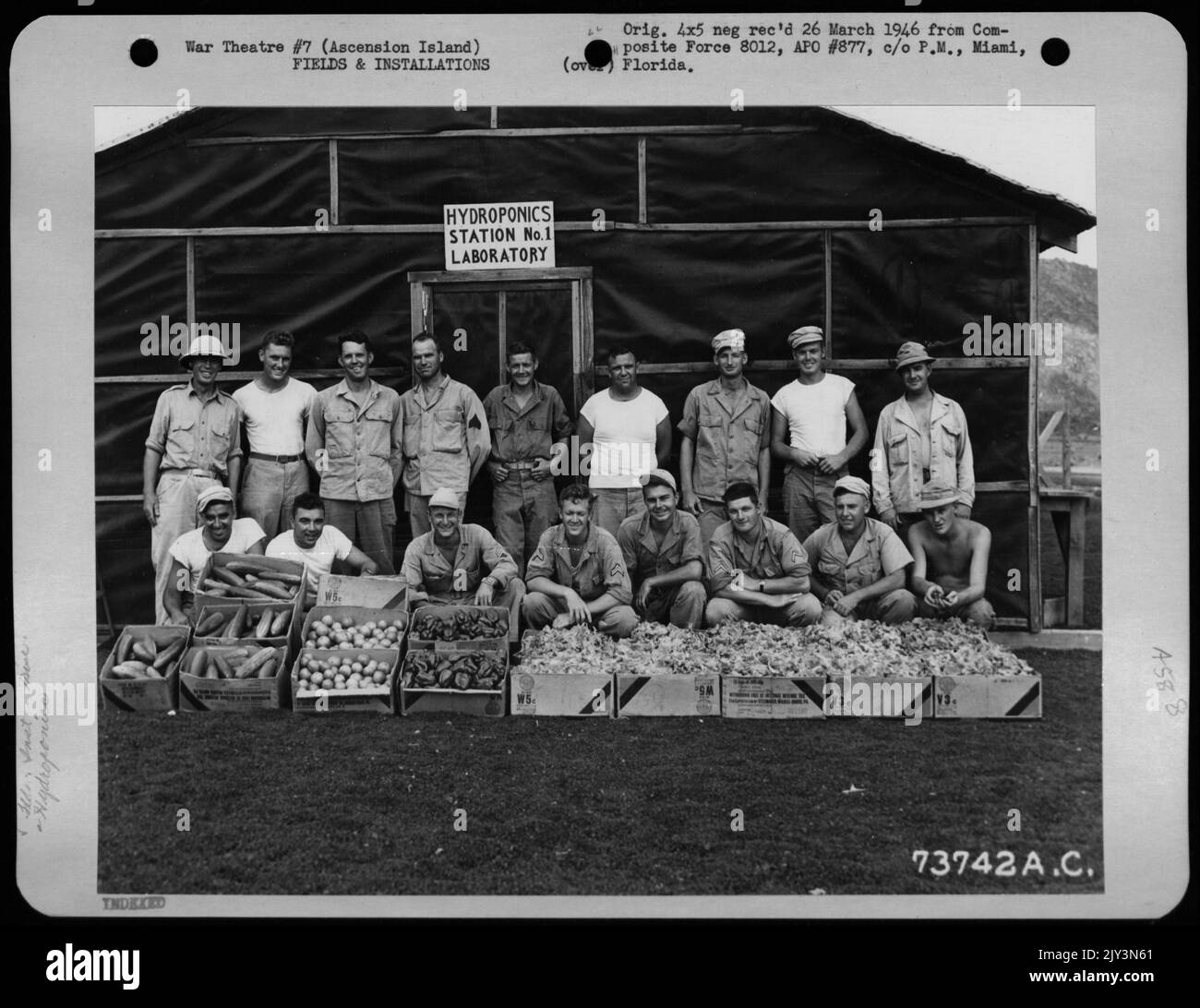 Il personale posa sul retro Di Una mostra di prodotti coltivati nel Giardino idroponico sull'Isola dell'Ascensione. 4 maggio 1945. Foto Stock