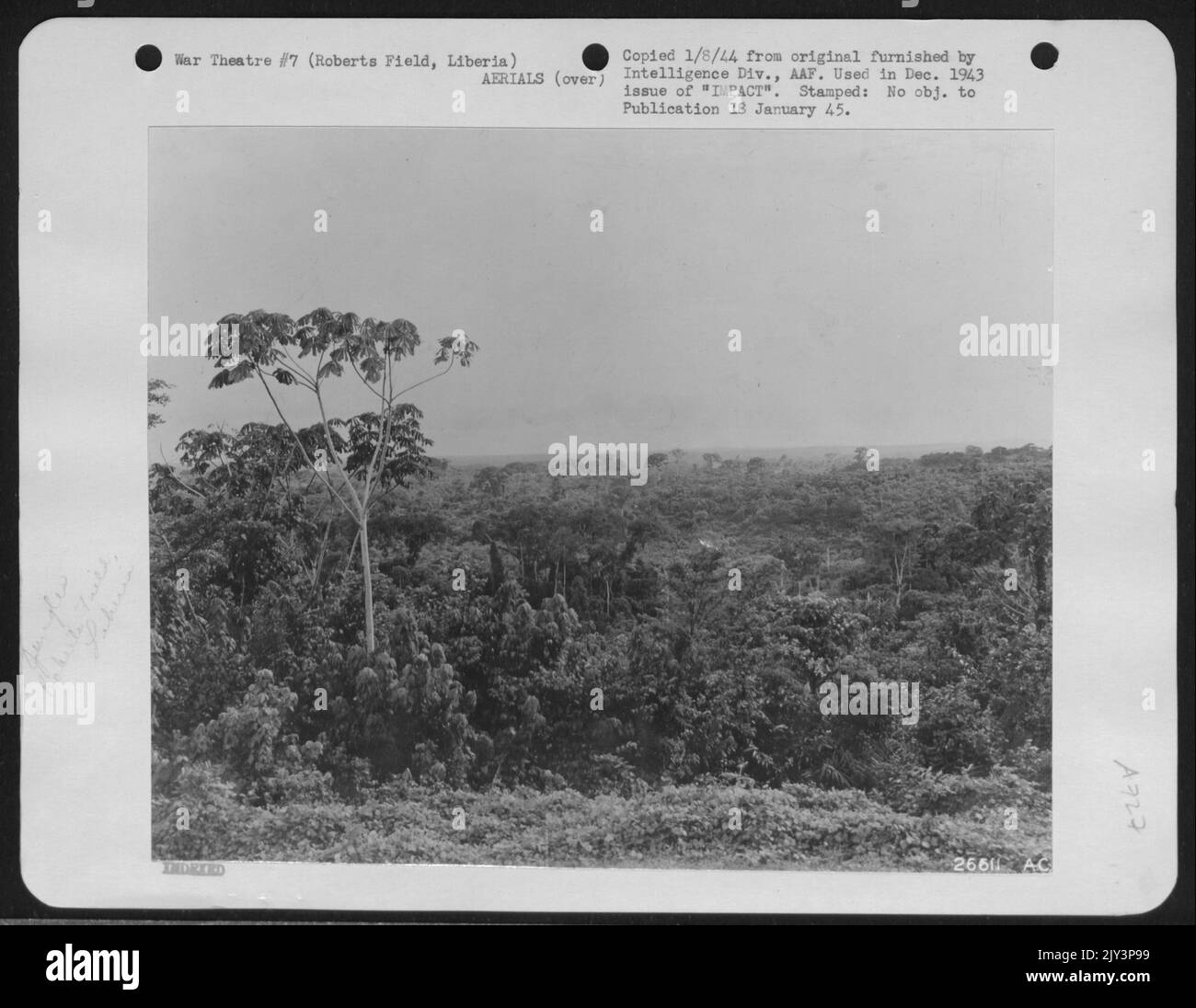 Nei pressi di Roberts Field, Liberia, si trova una tipica giungla densa. Le precipitazioni in questa zona di malaria sono più di 150 pollici all'anno e i cieli rimangono sovrastati per 3 settimane alla volta. Foto Stock