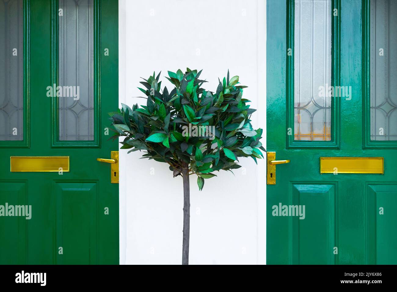 Due case vicine con porte verdi Foto Stock