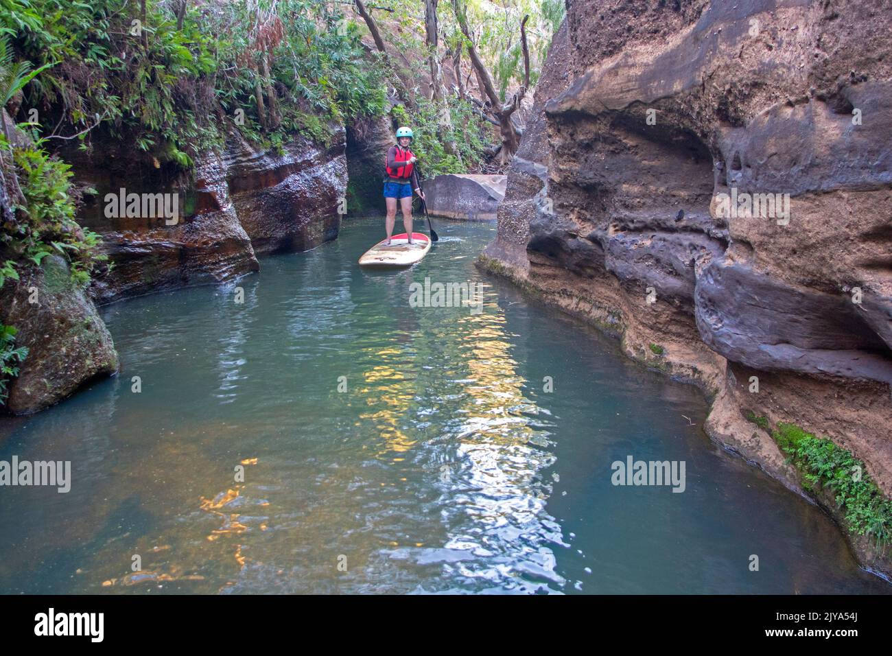 Stand-up paddleboarding in Cobbold Gorge Foto Stock