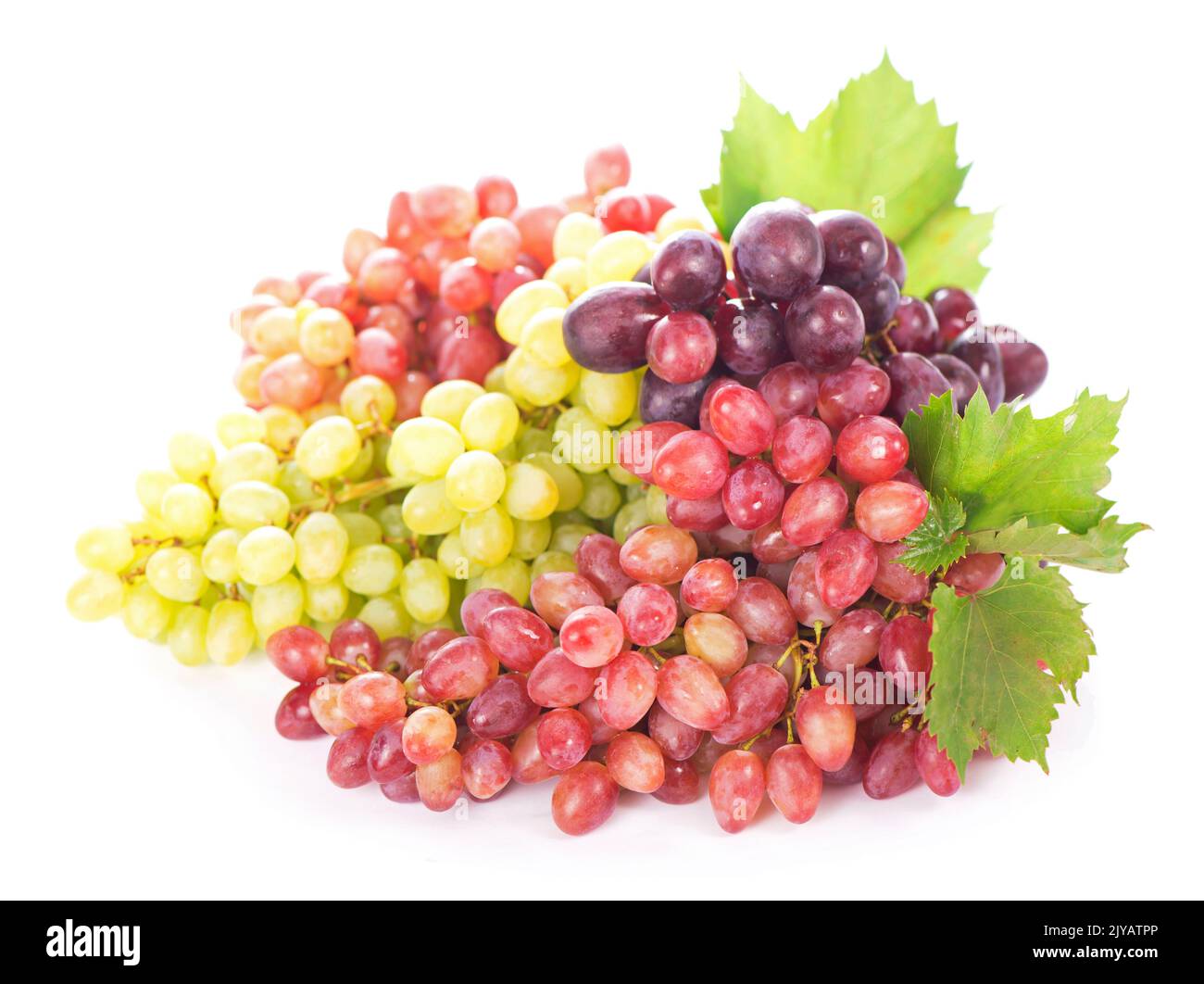 Uve da tavola rosse e bianche, uve da vino. Foto Stock