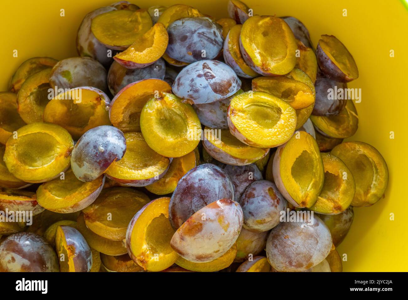 Plum hales.Yellow polpa di frutta in una tazza gialla. Polpa succosa texture.Farm frutte biologiche.prugne Harvest.prugne preparazione di marmellata di prugne Foto Stock