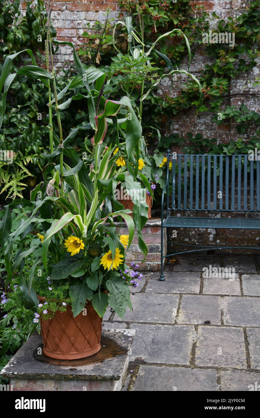 Patio giardino estivo Foto Stock