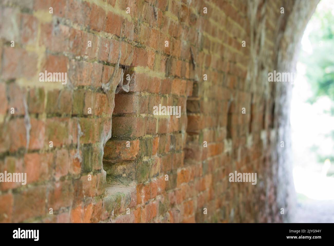Uomo fatto buchi, mensole in tunnel canale parete arcuata. Foto Stock