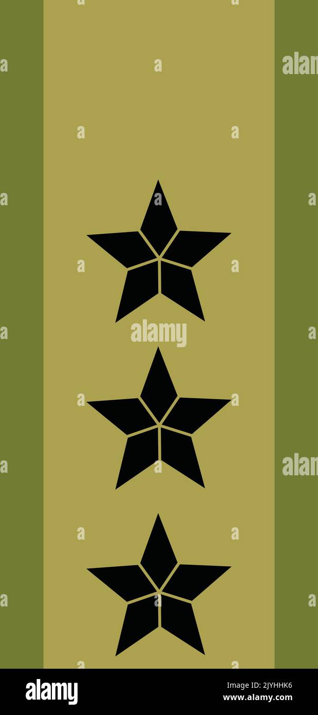 Spalla pad ufficiale NATO marchio per il GENERALLØYTNANT (TENENTE GENERALE) insignia rango nell'esercito norvegese Illustrazione Vettoriale