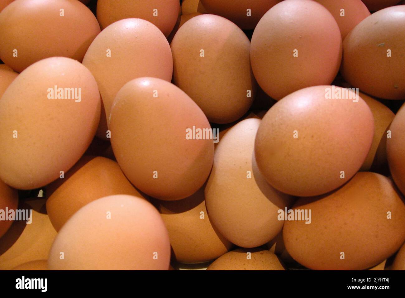 Uova di gallina fresche, uova di allevamento Foto Stock