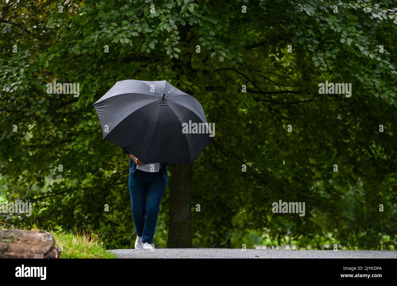 Brighton UK 8th Settembre 2022 - Una donna si mantiene il più possibile asciutta sotto un ombrello grande durante gli acquazzoni di pioggia pesanti a Brighton oggi : Credit Simon Dack / Alamy Live News Foto Stock