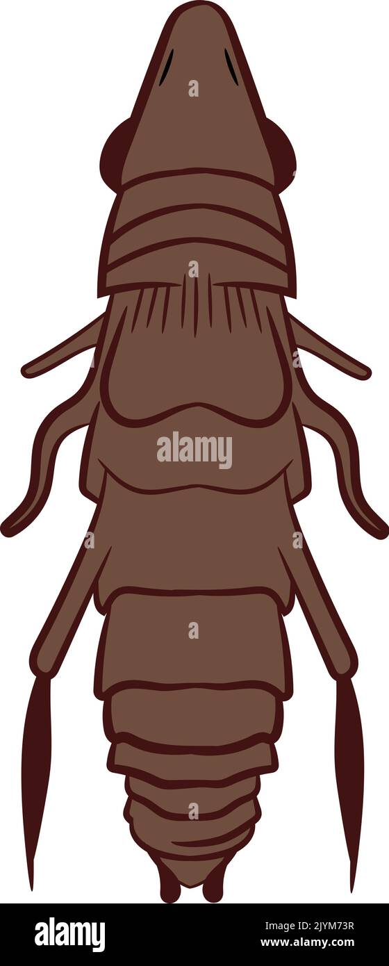 Illustrazione del vettore delle pulci isolata su sfondo bianco. Insetti Bugs Worms e pesti. Illustrazione Vettoriale