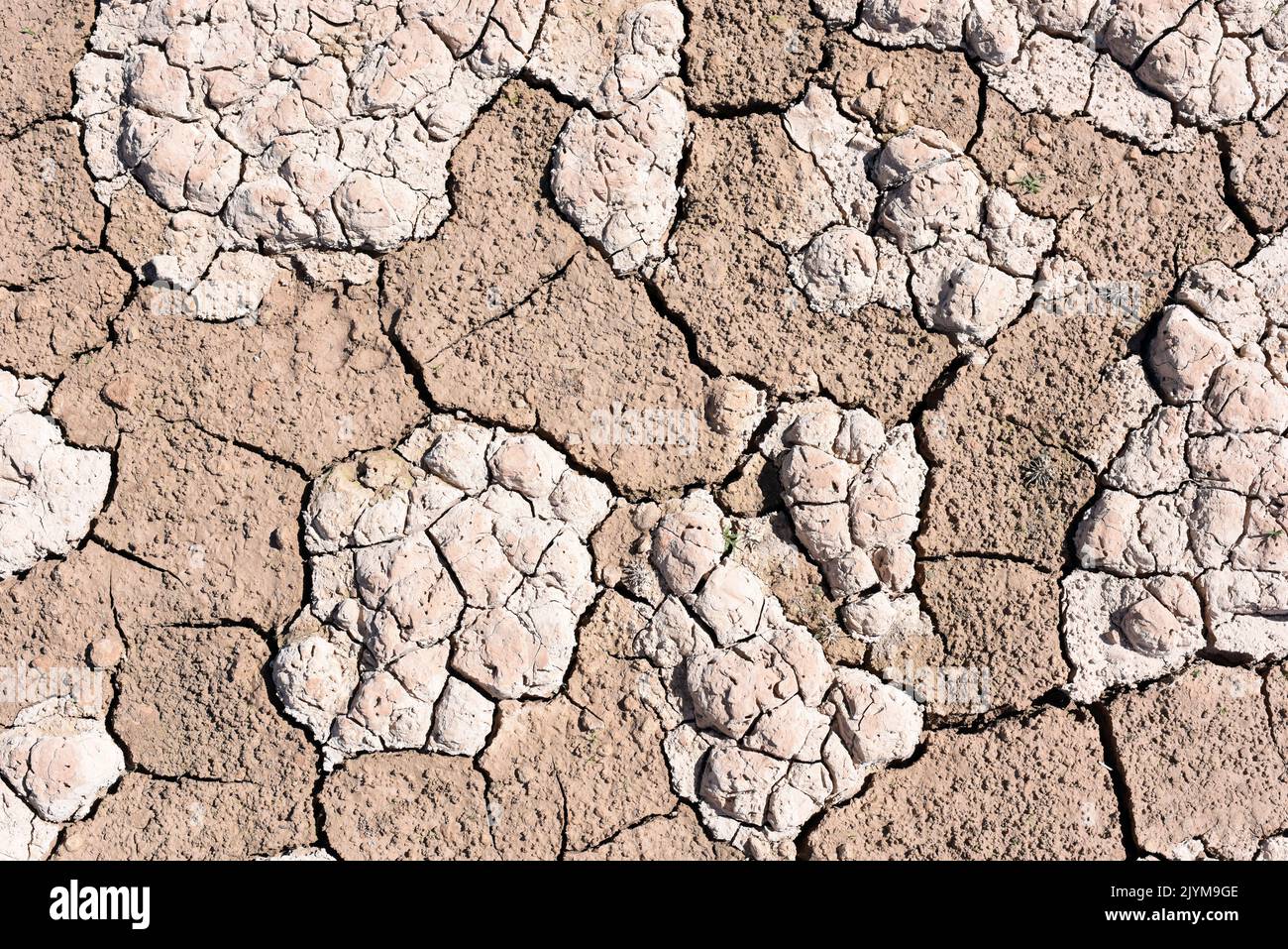 Tierra seca, cuarteada, debido a la sequía, producido por el cambio climático Foto Stock