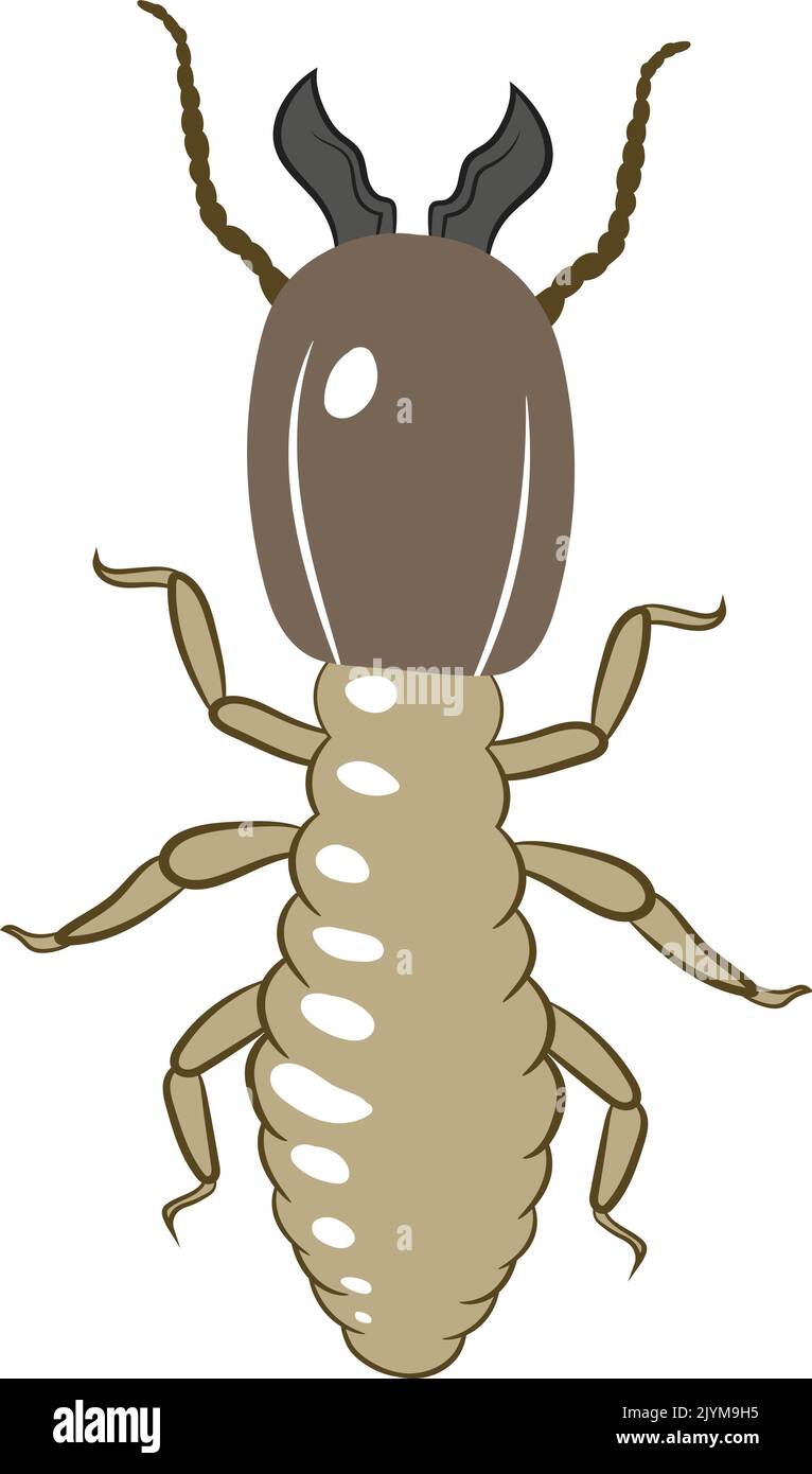 Termite 2d Vector Clipart. Insetti Bugs Worms Pest e Flies isolati. Illustrazione Vettoriale