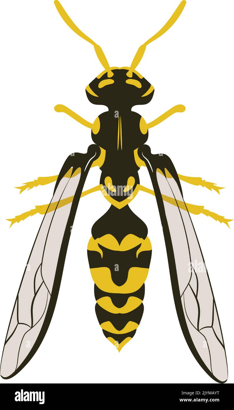 Illustrazione del vettore WASP Hornet Bee Illustrazione Vettoriale