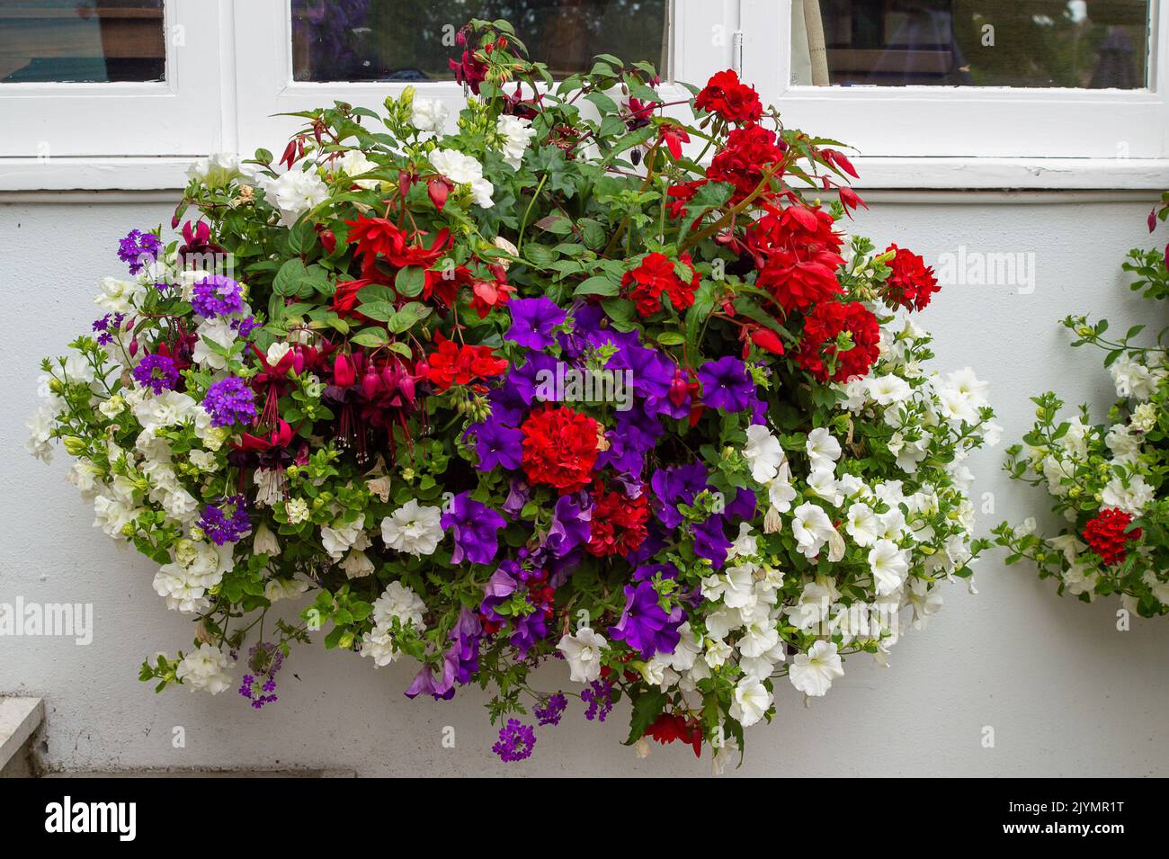 Totnes, South Devon, Regno Unito. 25th luglio, 2022. Un cesto appeso fuori dal pub, ristorante e hotel Steam Packet Inn di Totnes. Le navi a vapore hanno fatto regolari soste presso le locande che servivano anche come uffici postali. Il pacchetto Steam in Totnes era uno di questi punti di riferimento. Ha preso passeggeri e posta da Londra a Portsmouth, Totnes, Devonport e infine collegato con i pacchetti transatlantici a Falmouth. Credito: Maureen McLean/Alamy Foto Stock