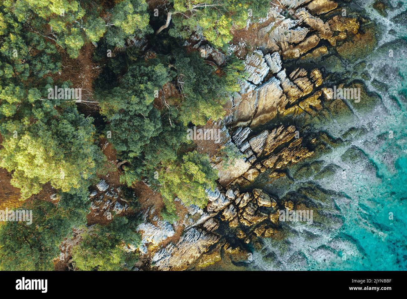Vista aerea dall'alto verso il basso di una spiaggia esotica con acqua di mare turchese, rocce bianche e foresta verde. Spiaggia situata sul mare Adriatico, Europa, Croazia Foto Stock