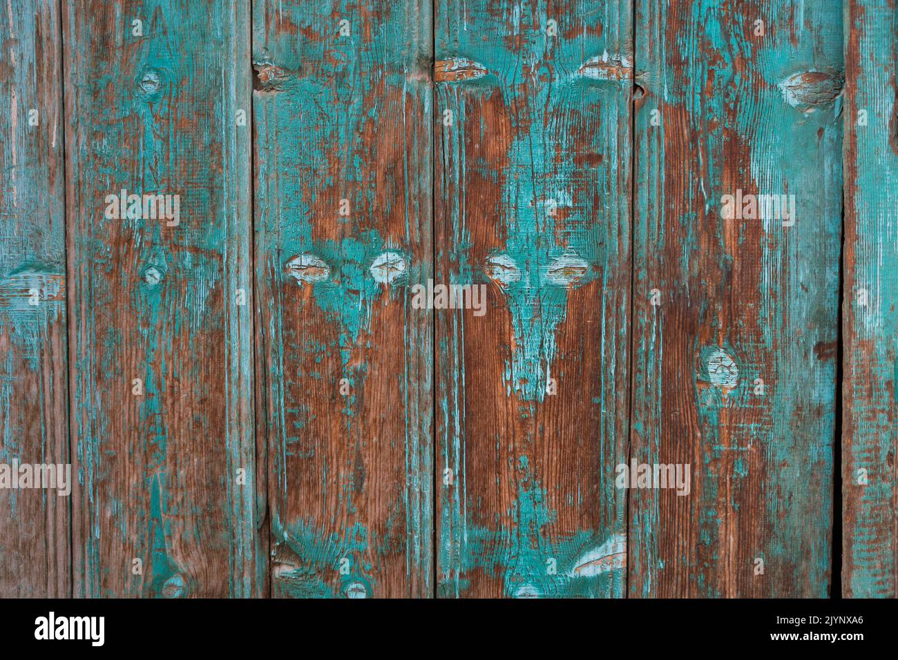 primo piano della struttura del legno con fibre naturali, materiale del cartone per la costruzione Foto Stock