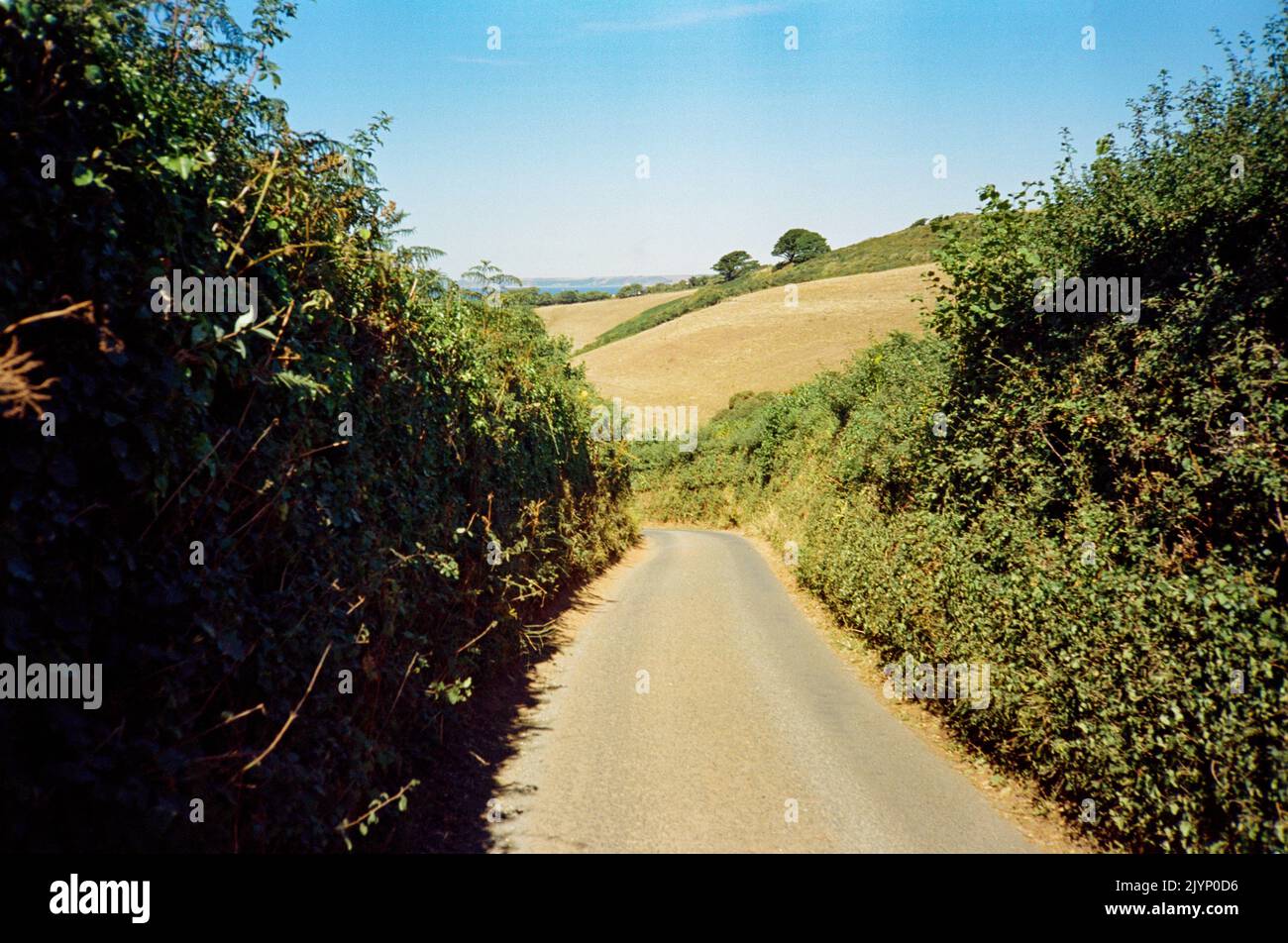 Strada di paese rurale, Cove di speranza, Kingsbridge, Devon del sud, Inghilterra, Regno Unito. Foto Stock
