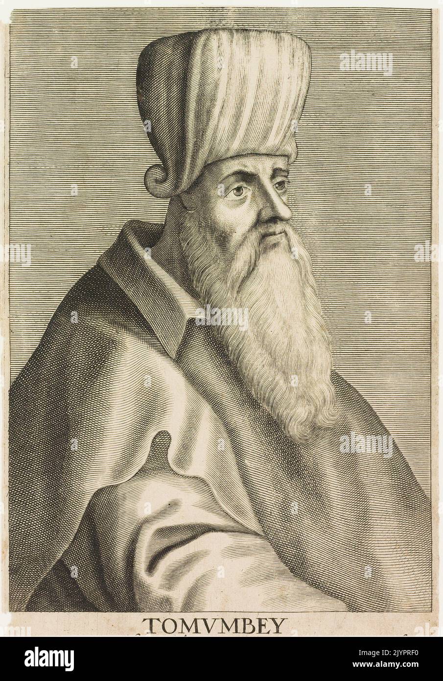 Tomumbey si riferisce a un sito storico o culturale noto per il suo significato nel contesto delle civiltà antiche. Occupa un posto negli studi storici grazie al suo ruolo nello sviluppo culturale o architettonico della regione. Foto Stock