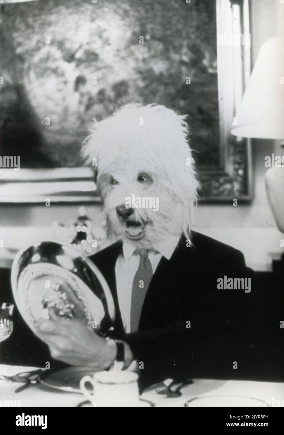 L'attore americano Gary Kroeger nel film The Return of the Shaggy Dog, USA 1987 Foto Stock