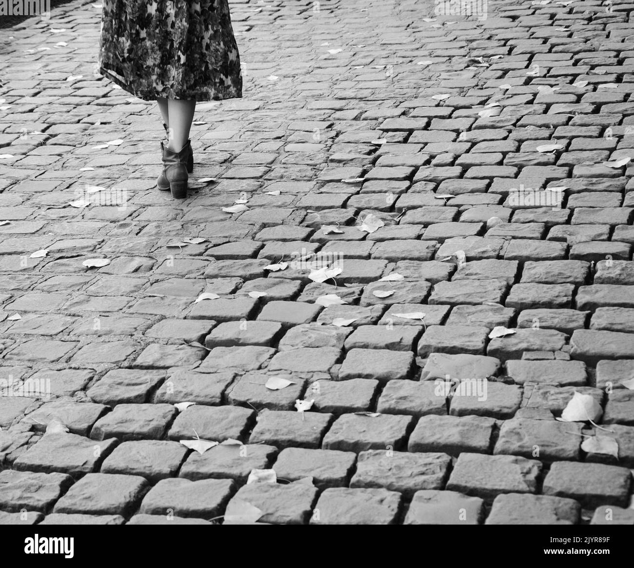 Zampe di una giovane donna sulla strada acciottolata parigina coperta di foglie autunnali cadute. Foto storica in bianco e nero. Foto Stock