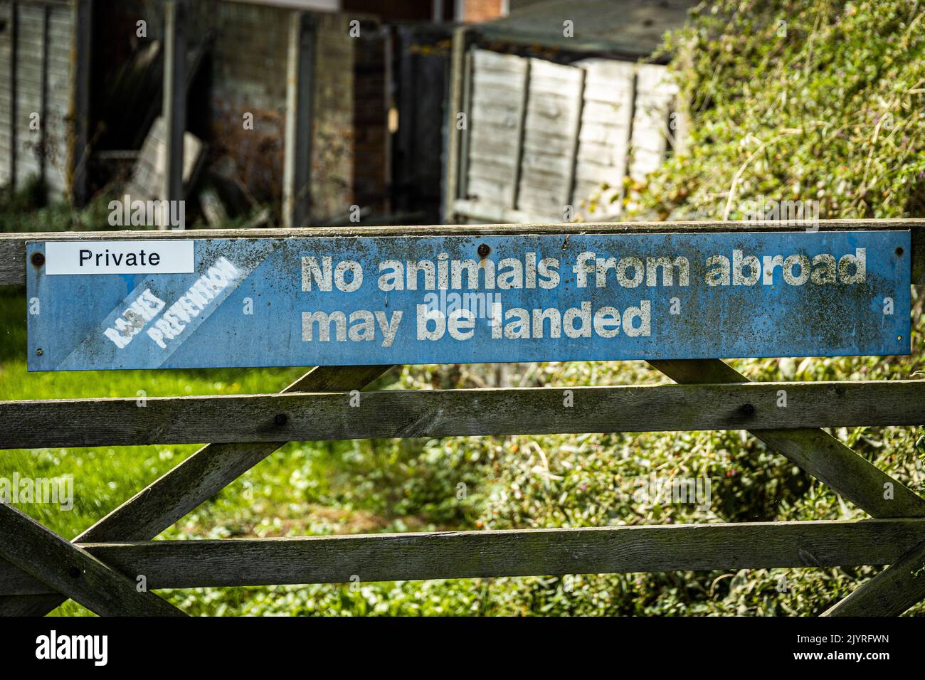 Un cartello che vieta lo sbarco degli animali Foto Stock