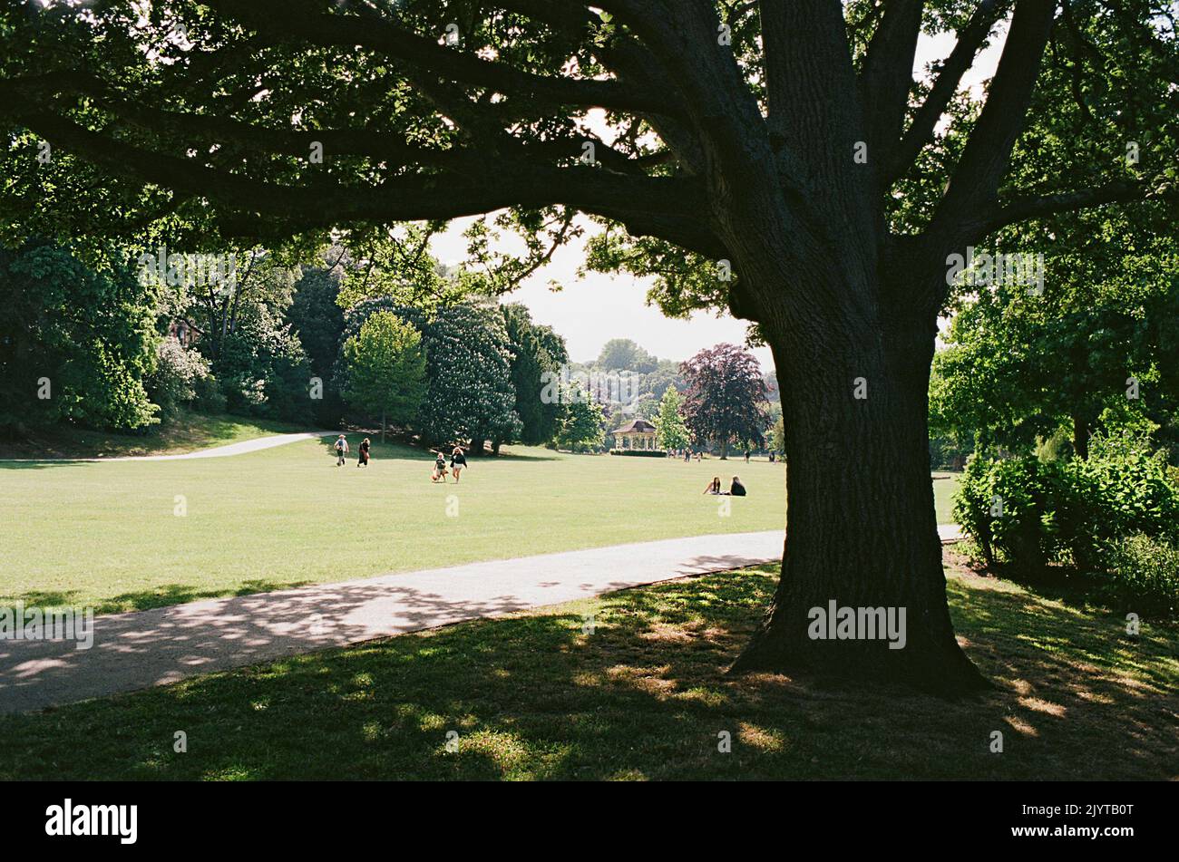 Alexandra Park, Hastings, East Sussex, South East England, in estate Foto Stock