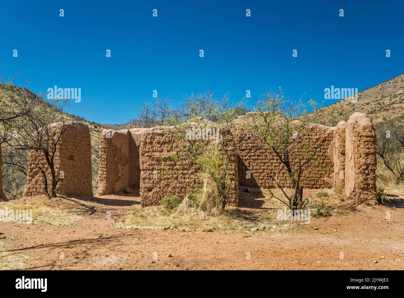 Rovine di Adobe a Alto Camp, Bond Canyon, Salero Road (Forest Road 143), Santa Rita Mountains, Coronado National Forest, Arizona, USA Foto Stock