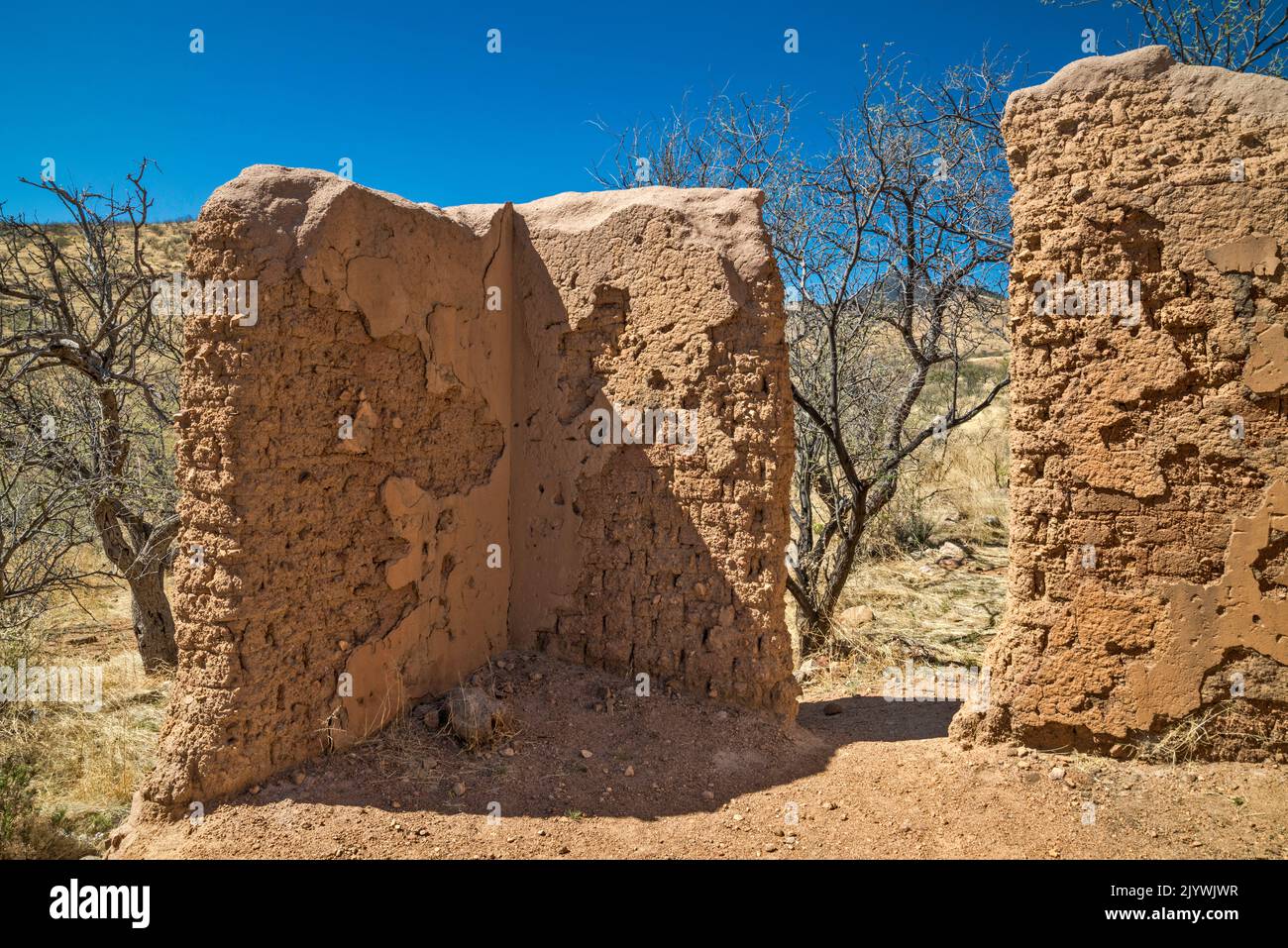 Rovine di Adobe a Alto Camp, Bond Canyon, Salero Road (Forest Road 143), Santa Rita Mountains, Coronado National Forest, Arizona, USA Foto Stock