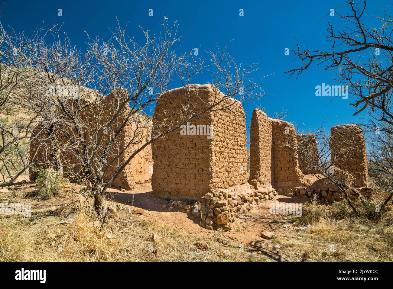 Rovine di Adobe a Alto Camp, Bond Canyon, Salero Road (Forest Road 143), Santa Rita Mountains, Coronado National Forest, Arizona, USA Foto Stock